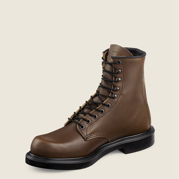 Botas de Trabajo Red Wing Hombre Marrom Oscuro - Supersole® - 8-Inch Soft Toe - 160-TODGYS